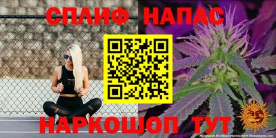 ГАЛЛЮЦИНОГЕННЫЕ ГРИБЫ Можга