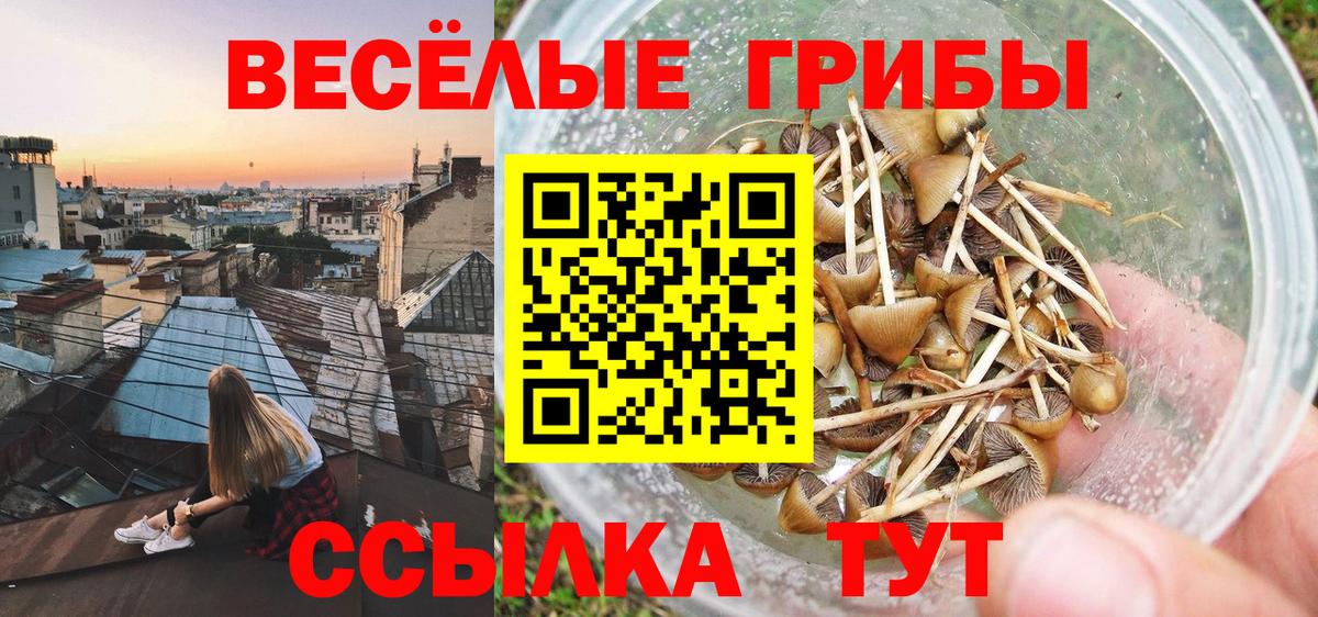 Галлюциногенные грибы Magic Shrooms  Вход с VPN  Галлюциногенные грибы GOLDEN TEACHER  Учалы 